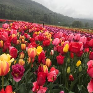 Meet your Posher, Jocelyn